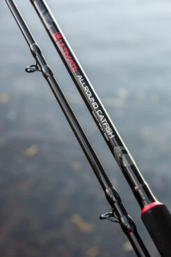 Ultimate Allround Catfish 300cm, Meervalhengel -TackleXpert Winkel 118dbeada876c8d2