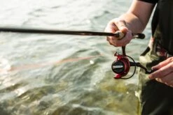 Ultimate Predator Spin & Jig 2,10m 10-30gr -TackleXpert Winkel 2960c19f611ea8dd