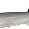 Quantum 70g 25cm Pelagic Shad Set Tricky Day 1pcs