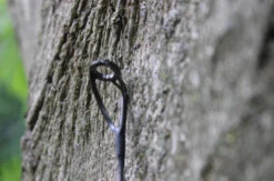 Ashima Travel FFX-S 10ft 3m 3.25Lb -TackleXpert Winkel 4a7d69384d52c63c