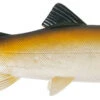 Uni Cat Trout 15cm BT