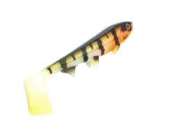 Hostagevalley Shad 14cm (25g) Red Head Perch -TackleXpert Winkel 9d4ace339dfc75bf