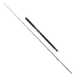 PENN Regiment III Solid Carbon Boothengel 2,40m (20-30lb) -TackleXpert Winkel a163d5eae122dc82