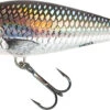 Salmo Perch Floating Plug Holo Grey Shiner 14cm