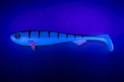 Fox Rage Super Slick Shad 18cm/7" UV Young Perch (2pcs)