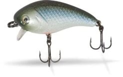 Quantum Baby 1-Minus Blue Baitfish