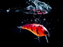 Molix F Crank SR 6cm Floating Charming Shad